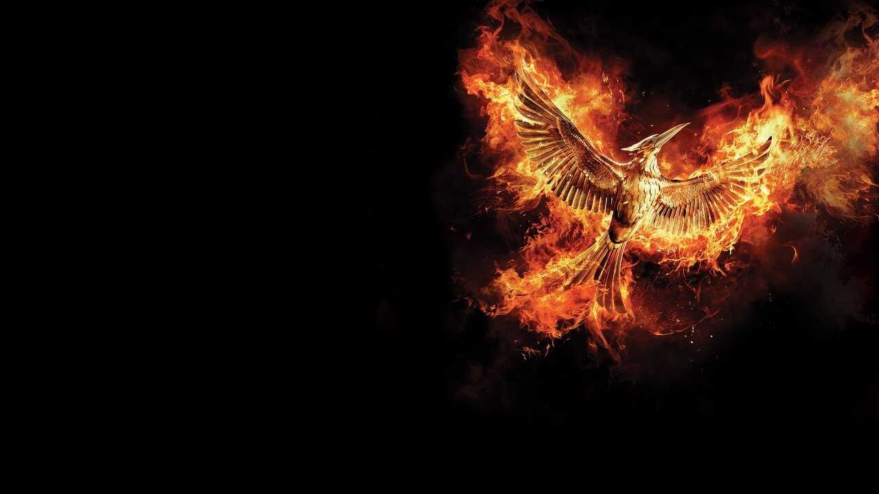 The Hunger Games: Mockingjay - Part 2 0