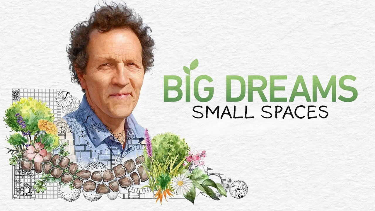 NF - BIG DREAMS Small Spaces 0