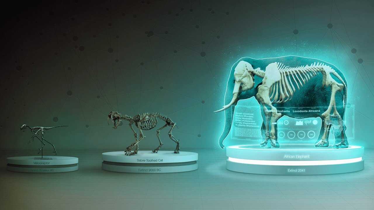 FR - Endlings (2020) (CA) 2