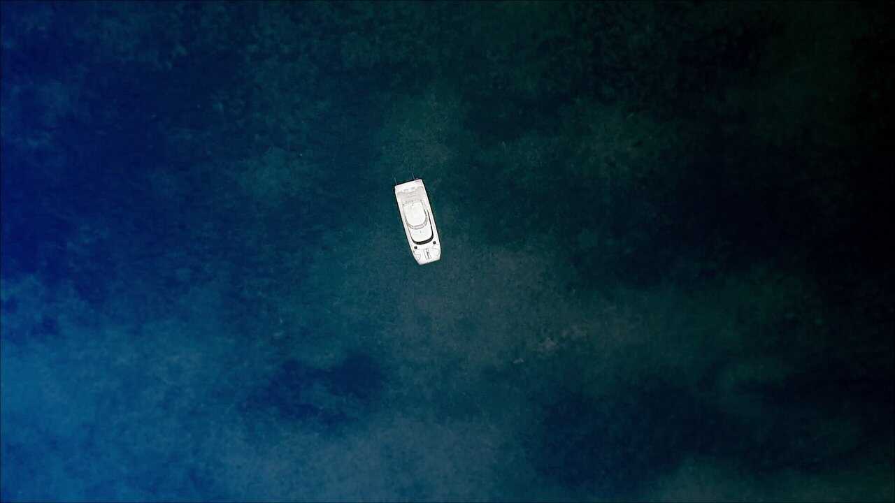 Harpoon (2019) 0