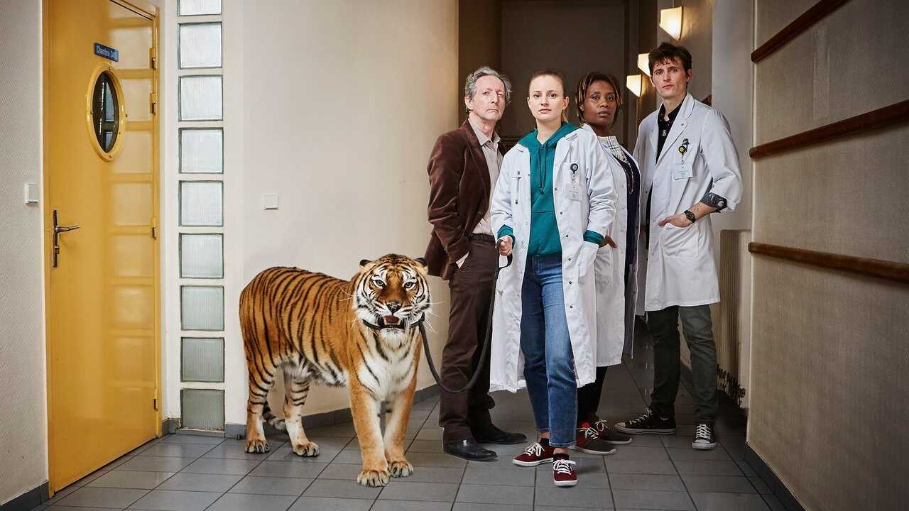 FR - HP (2018) (FR) 0