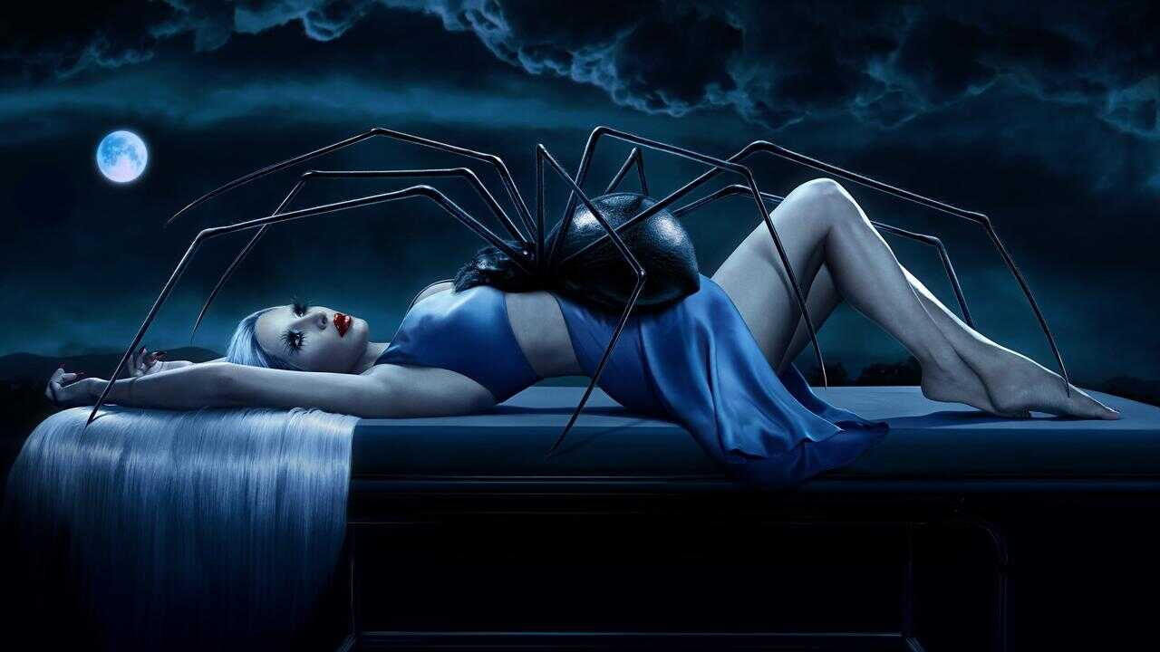 DE - American Horror Story (2011) 0