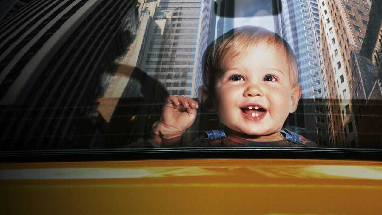 Baby's Day Out 0