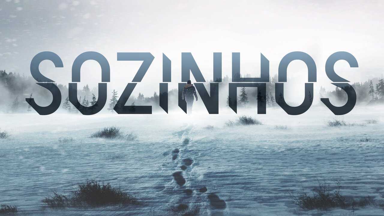 FR - Alone : Les survivants (2015) (US) 1