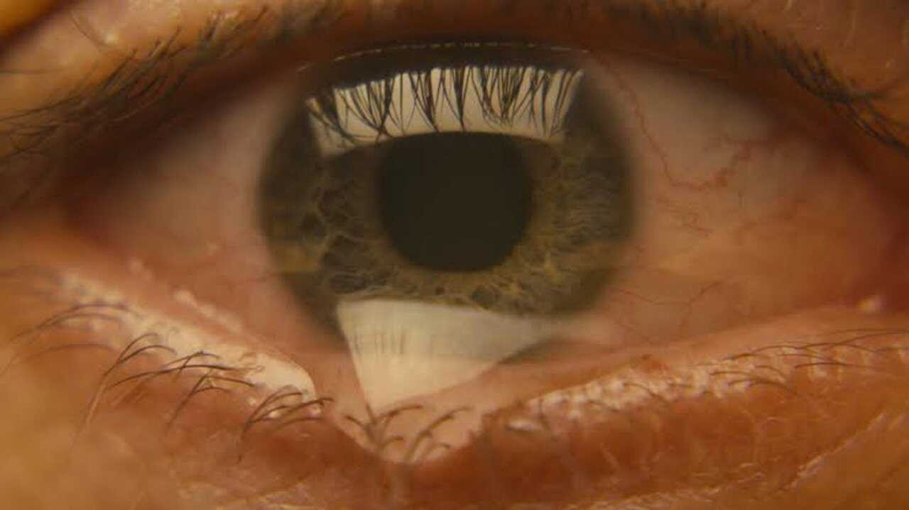 FR - Feria: L'éclat des ténèbres (2022) (ES) 4