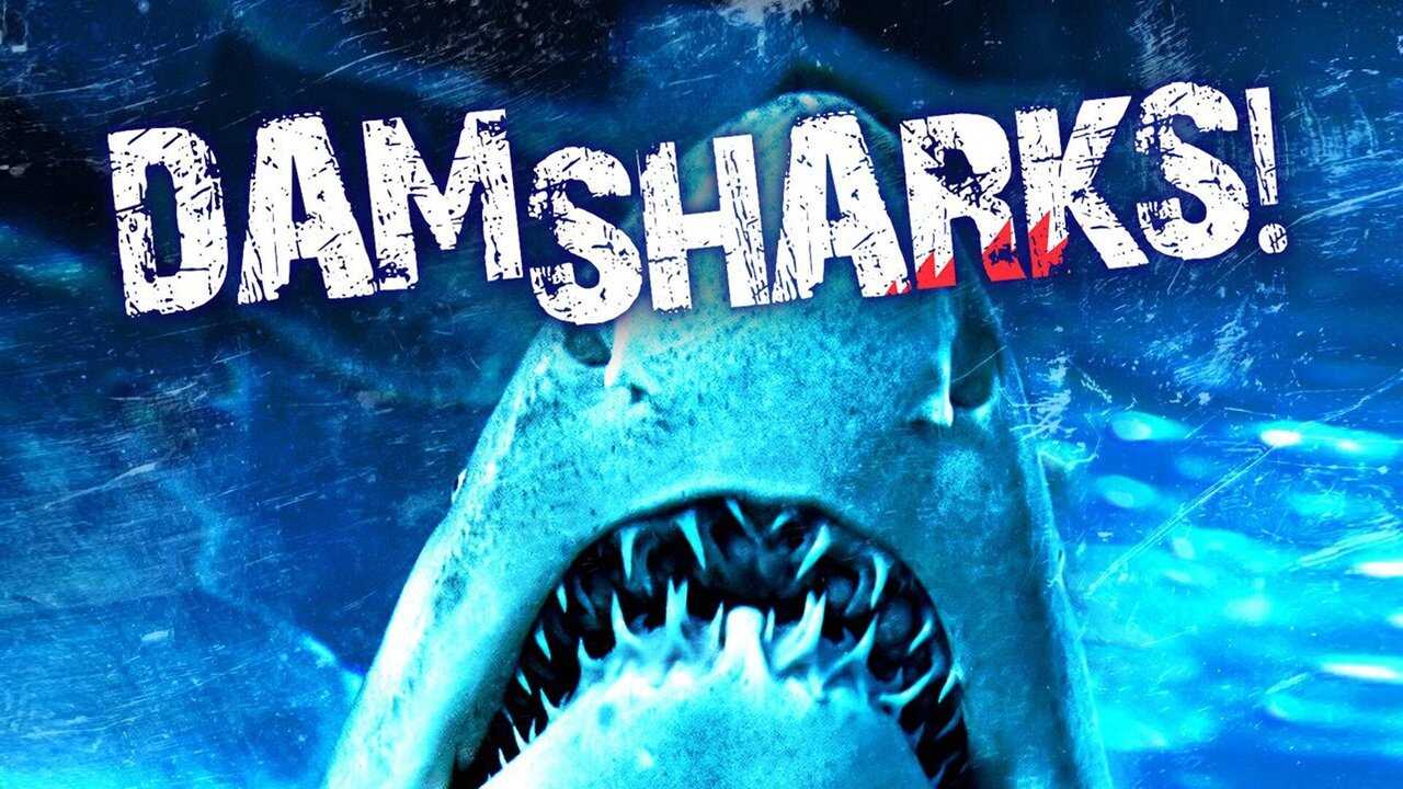 Dam Sharks! 0