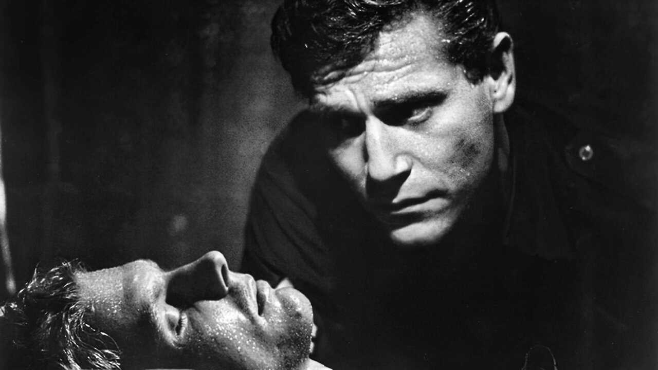 Król szczurów (1965) 0