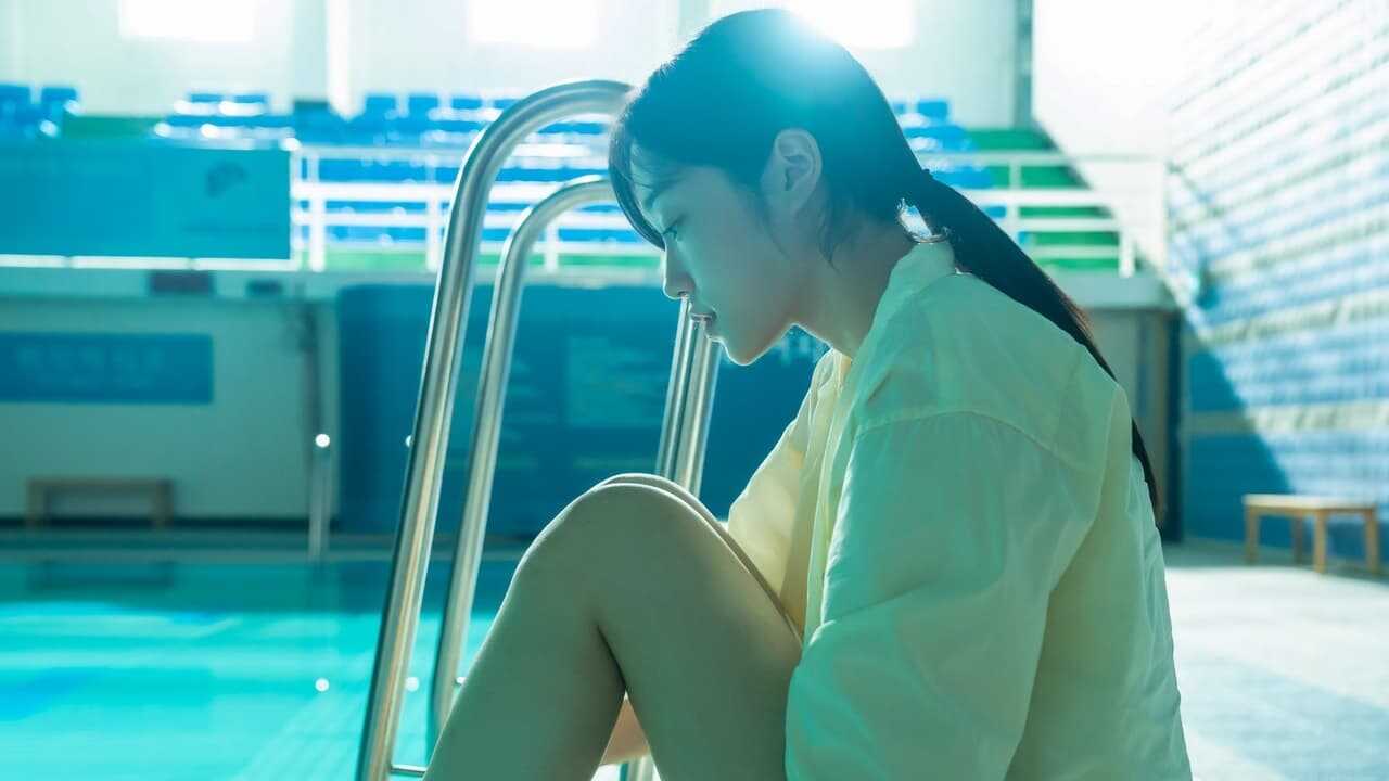 청설 (2024) 0