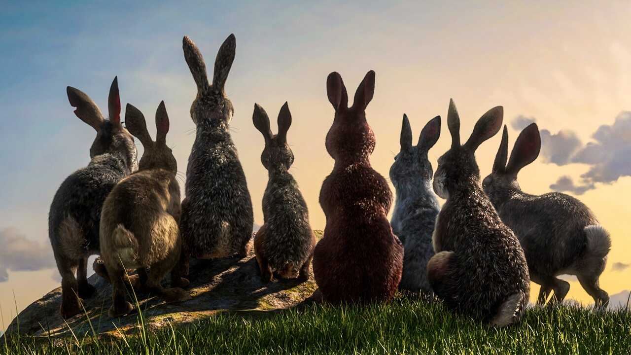 EN - Watership Down (2018) 0