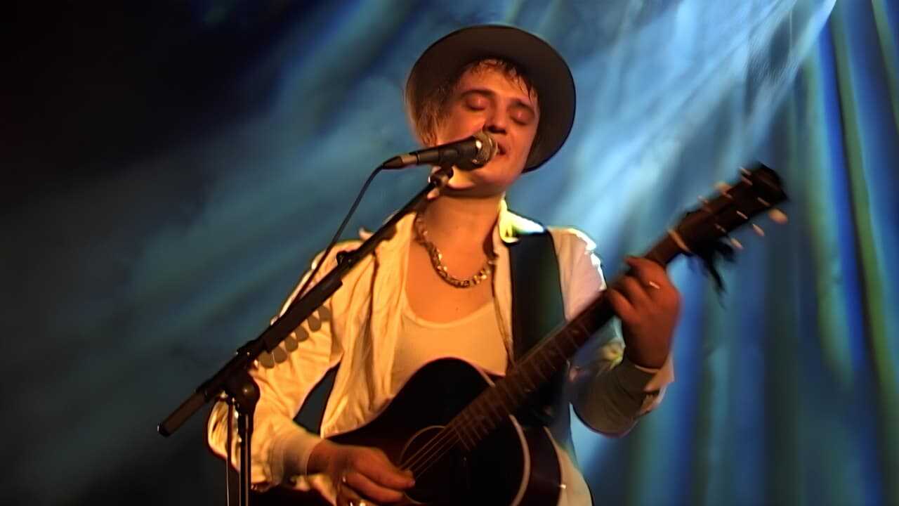 Peter Doherty: Stranger In My Own Skin (2023) 0