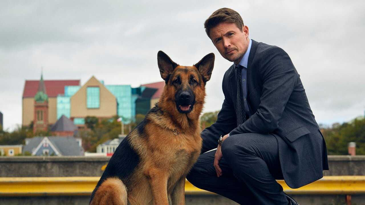 FR - Hudson et Rex (2019) (CA) 2