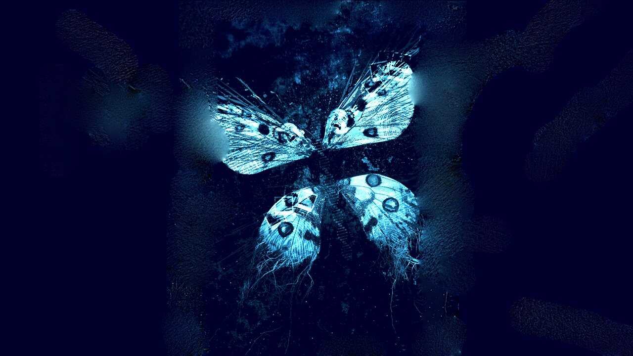 The Butterfly Effect 3: Revelations 0