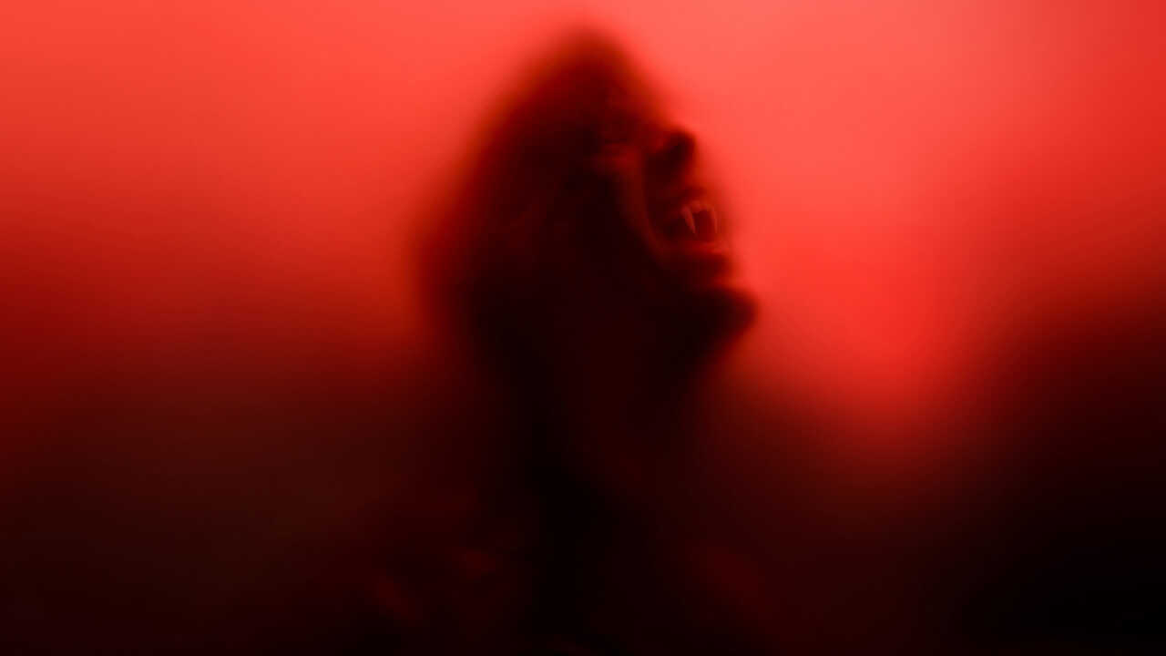 FR - True Blood (2008) (US) 2