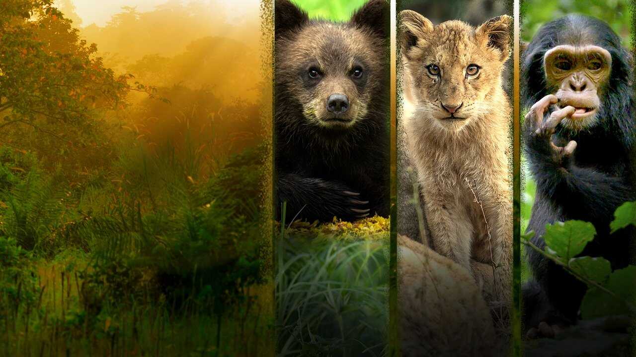 FR - Grandir dans le monde animal (2021) (GB) 4