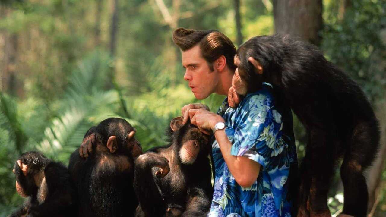 Ace Ventura: Operación África (1995) 0