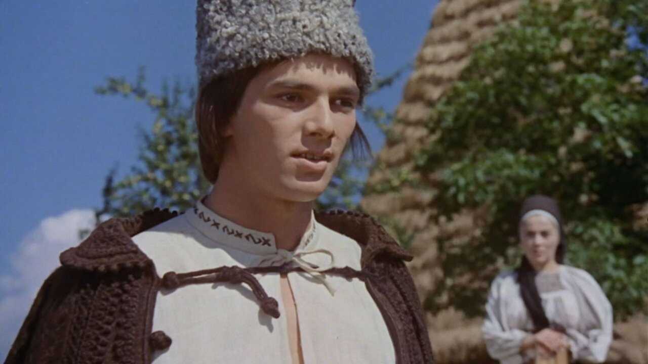 Tinerețe fără bătrânețe 0