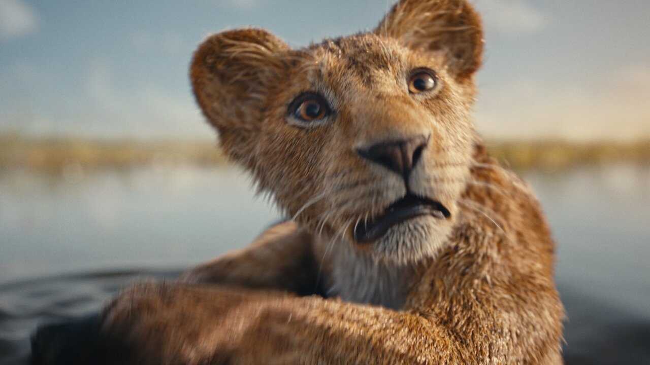 Mufasa: Król Lew (2024) 0