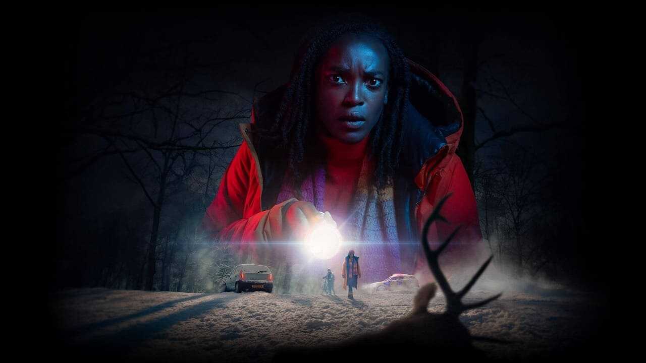 DE - Passenger (2024) 2