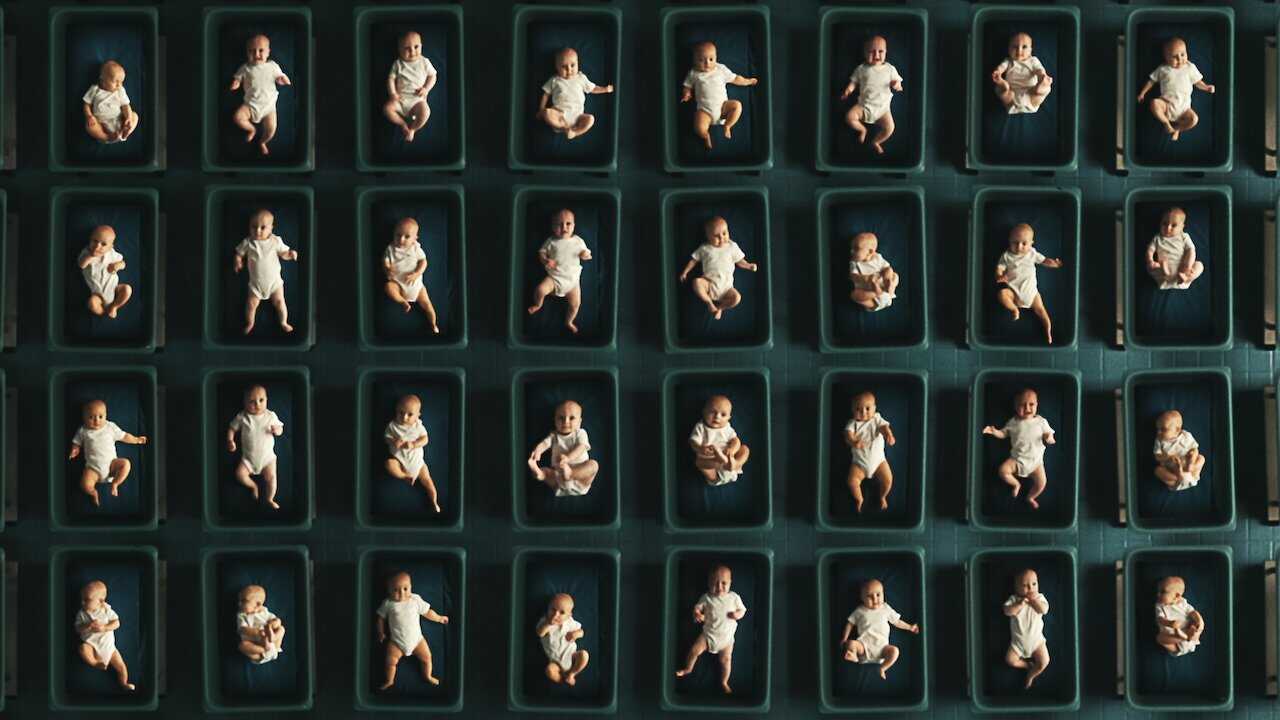 NF - The Man with 1000 Kids (2024) 1