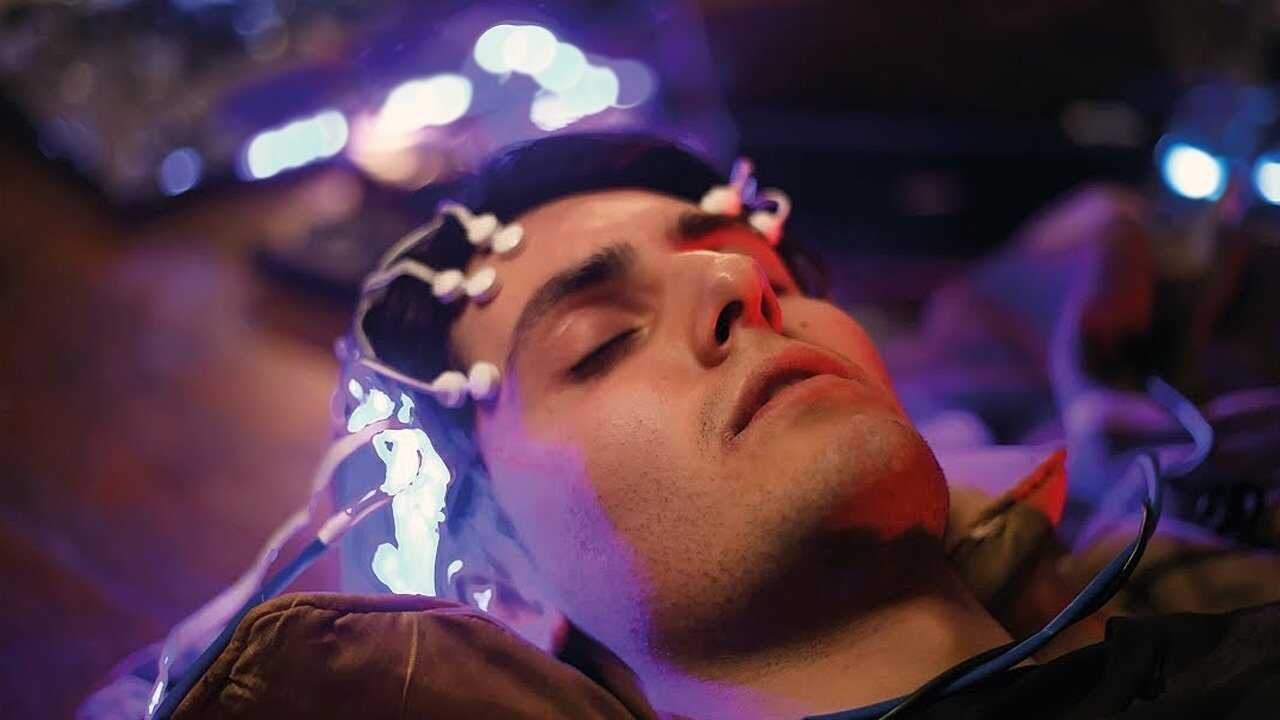 Zoo-Head 0