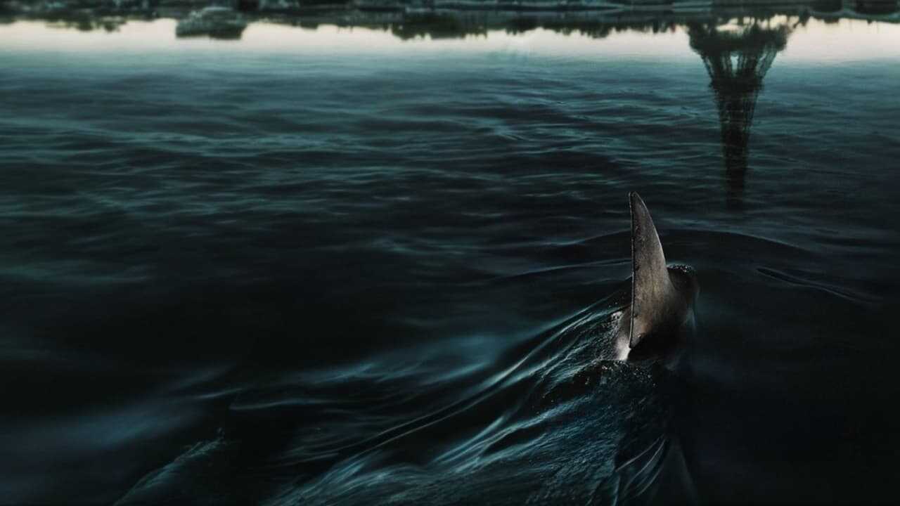 Im Wasser der Seine (2024) 0