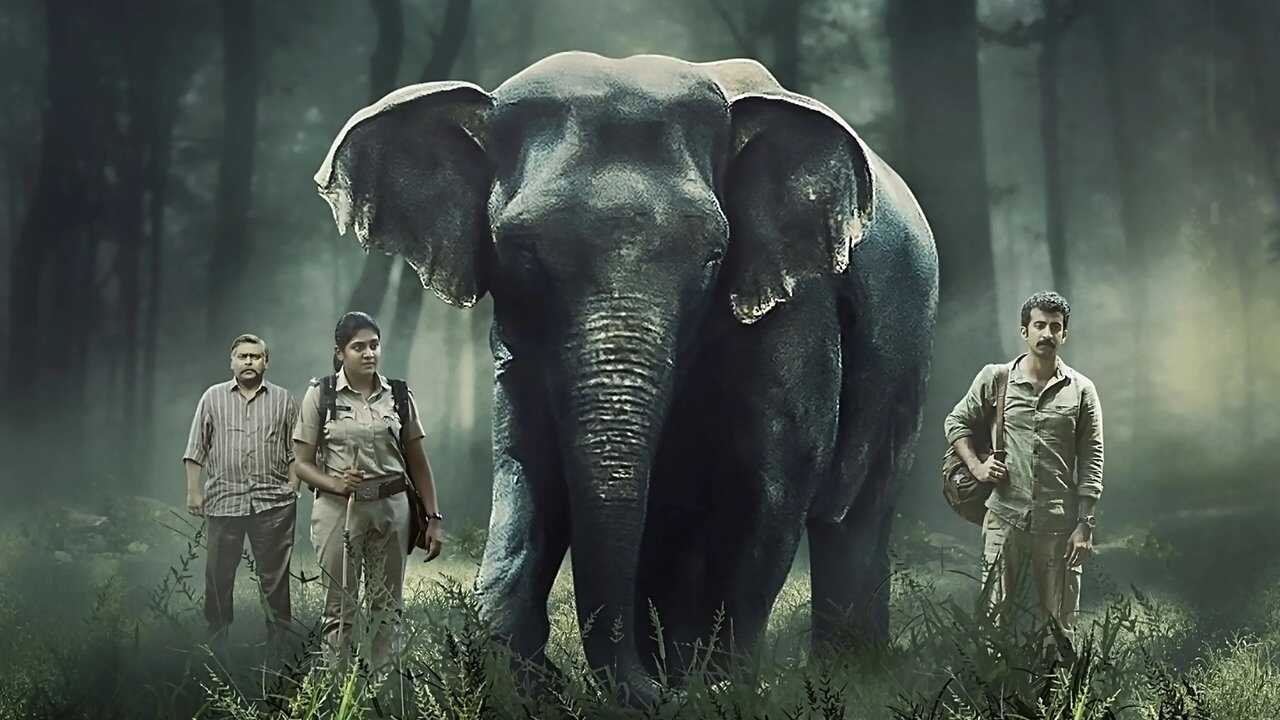 IN - Poacher 4