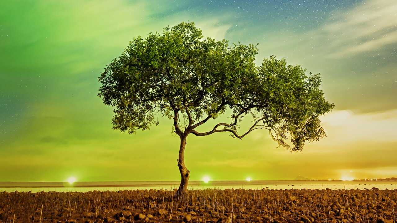 FR - Une planète parfaite (2021) (GB) 1