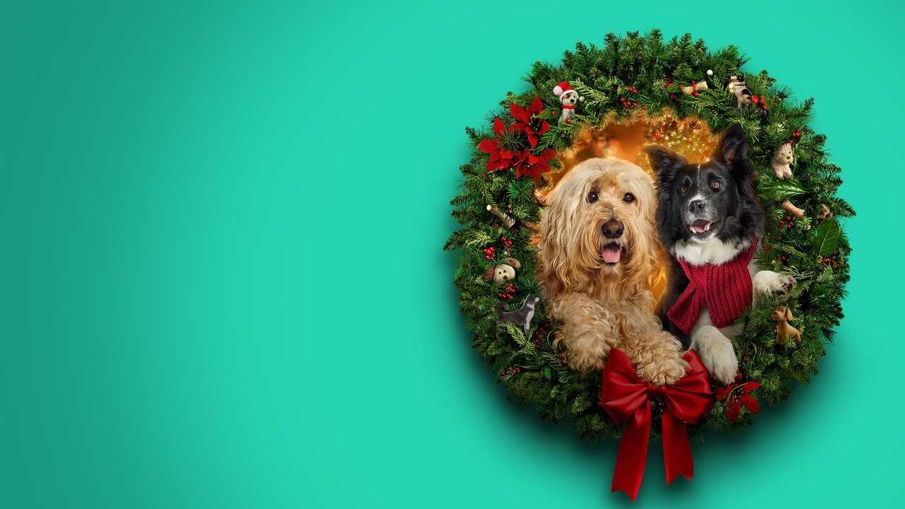 Happy Howlidays (2024) 0
