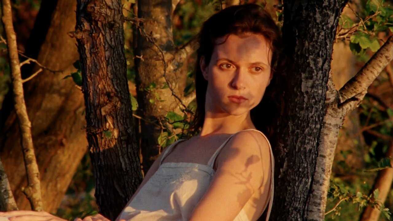 L'Envol (2023) 0