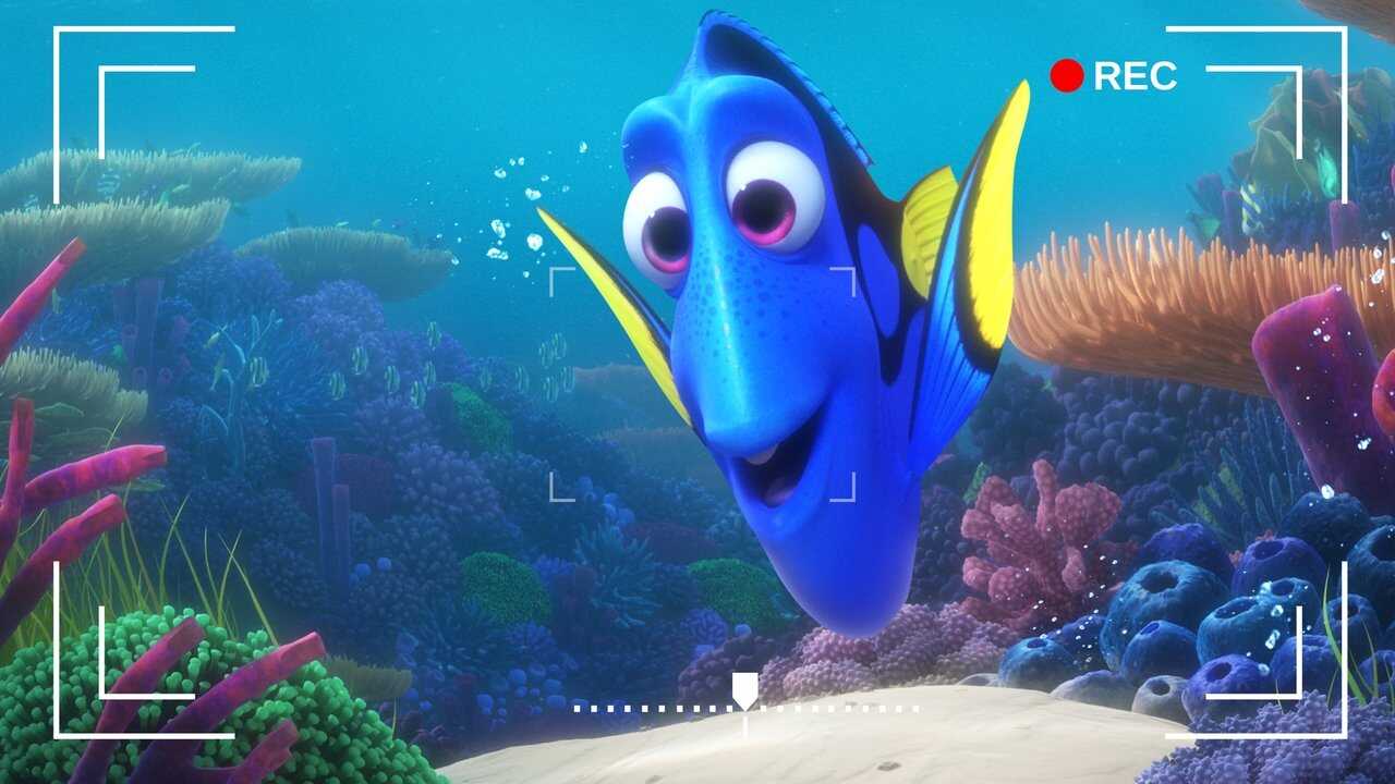 Dory's Reef Cam (2020) 0