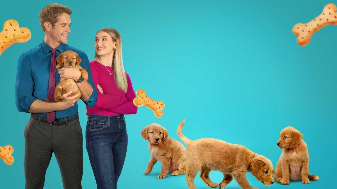 Everything Puppies (2024) 0
