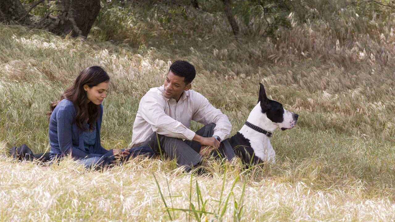 Seven Pounds 0