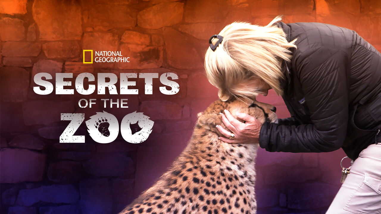 D+ - Secrets of the Zoo (US) 3