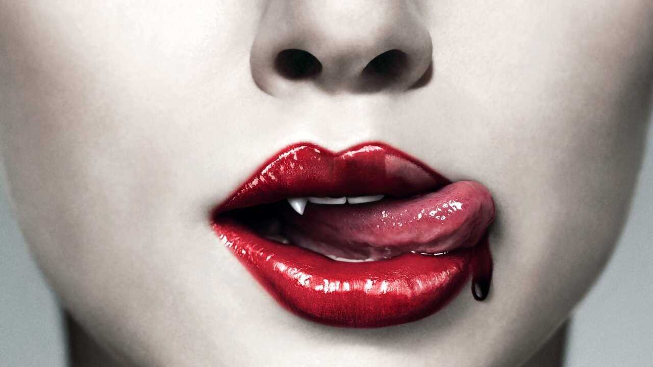 FR - True Blood (2008) (US) 3