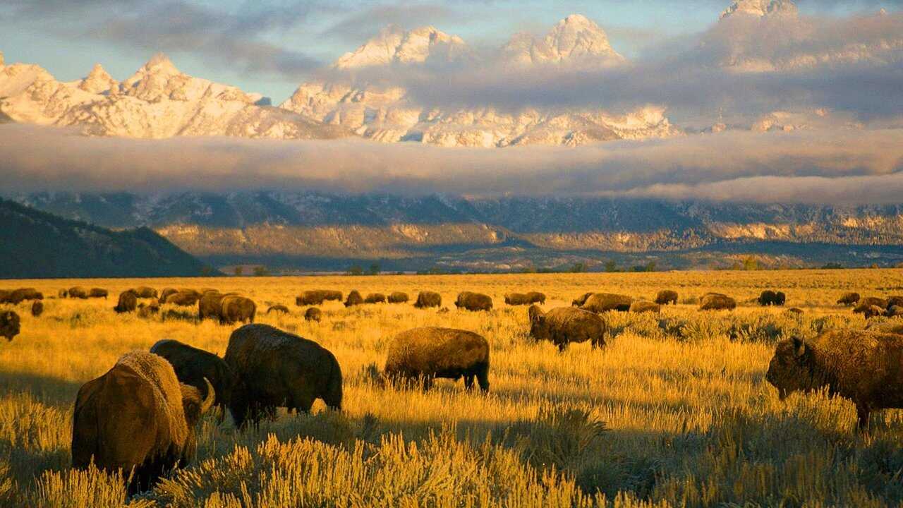 EN - National Parks: USA (2024) 4