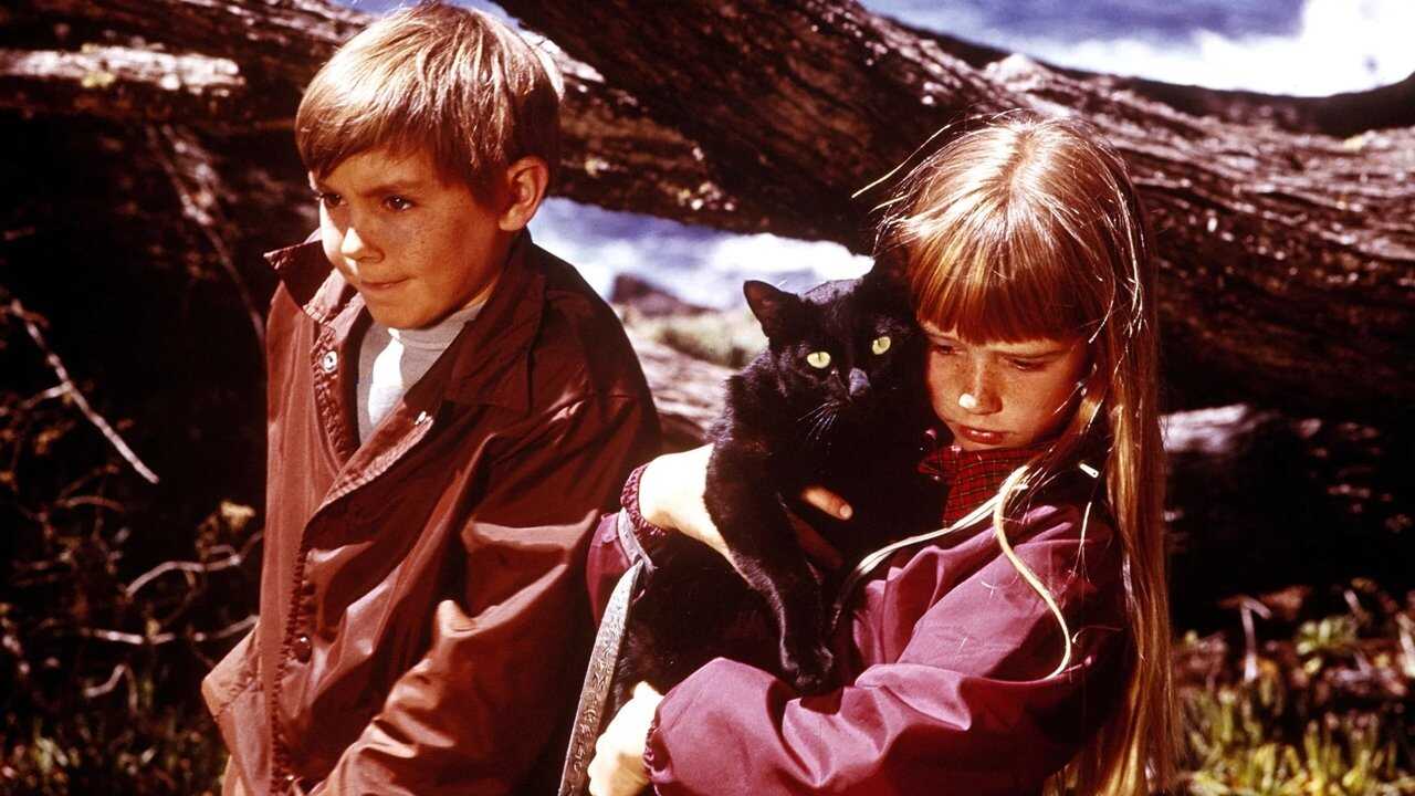 Die Flucht zum Hexenberg (1975) 0
