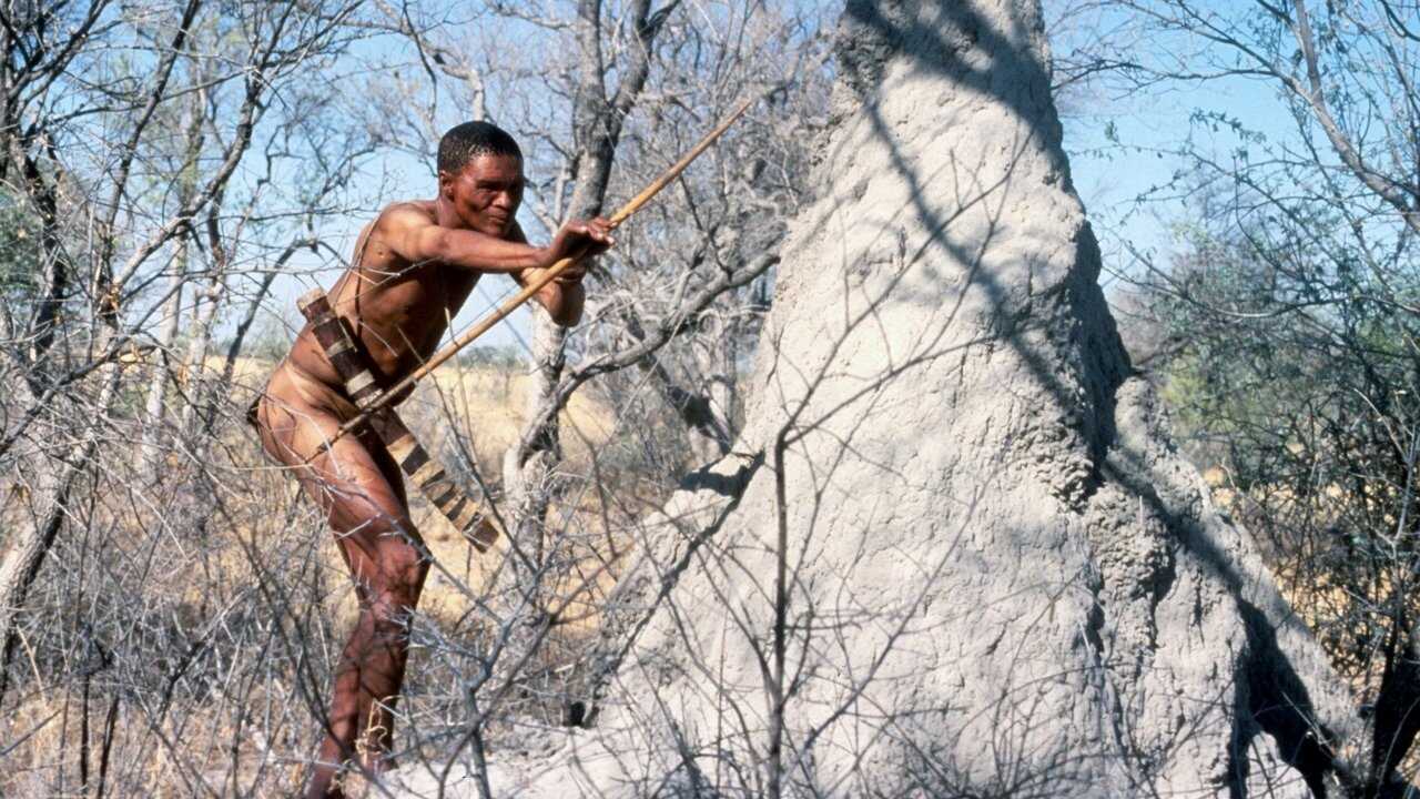 Los dioses deben estar locos (1980) 0