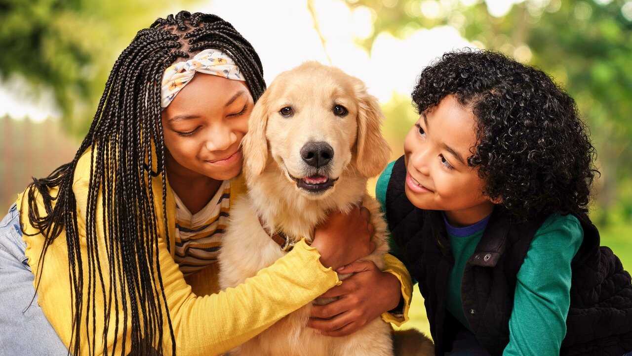 DE - Puppy Place (2021) 1