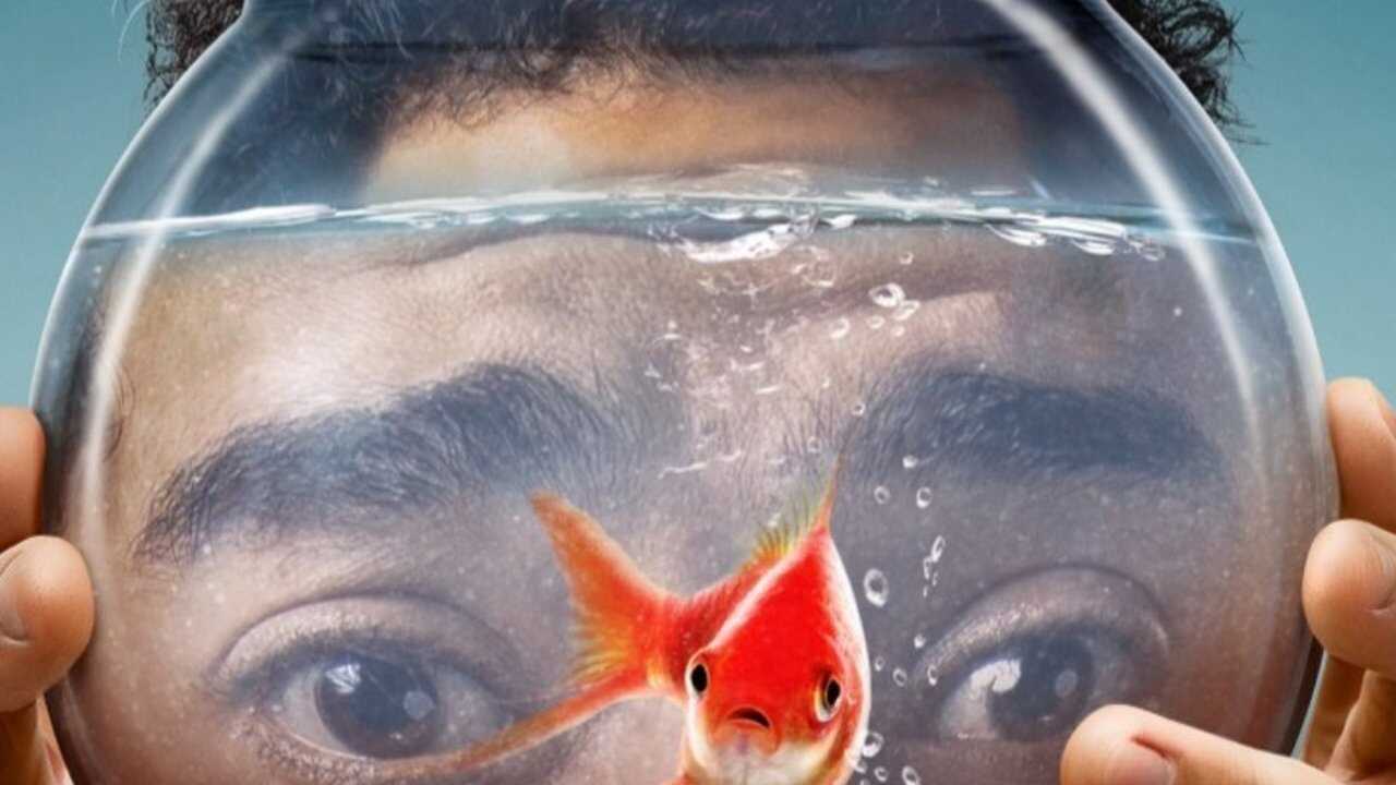 المخفي (2024) 0