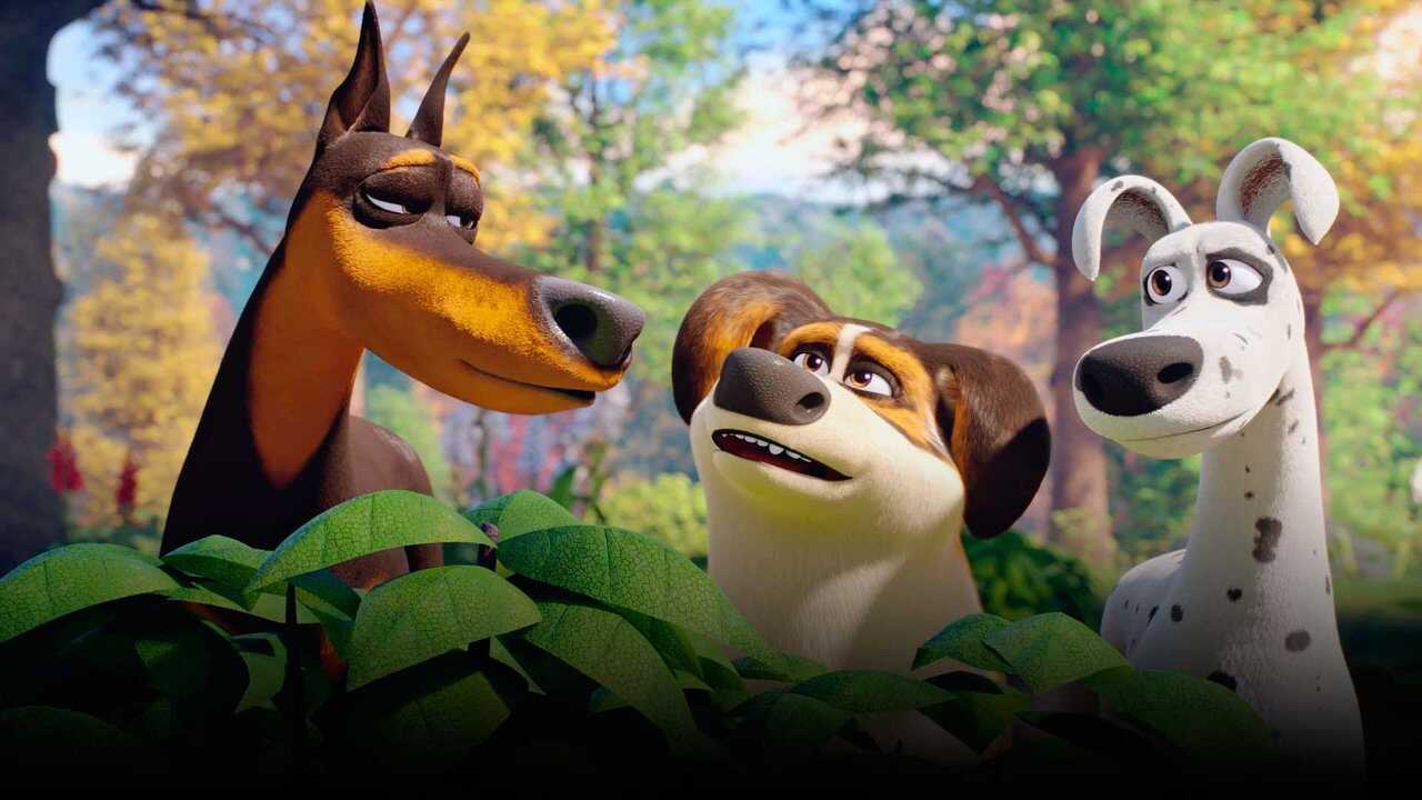 Urwis (2019) 0
