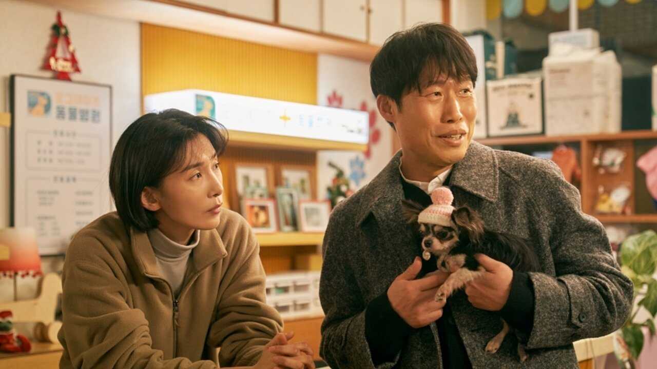 도그데이즈 (2024) 0