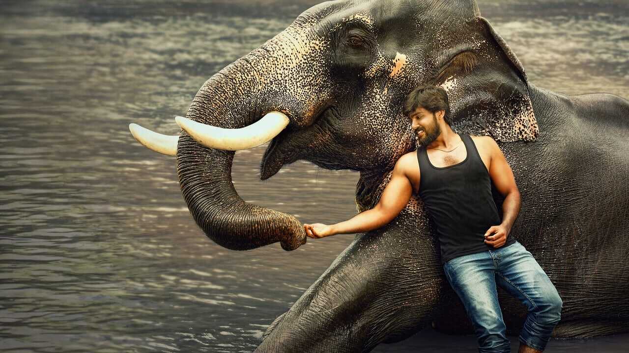 Rajabheema 0