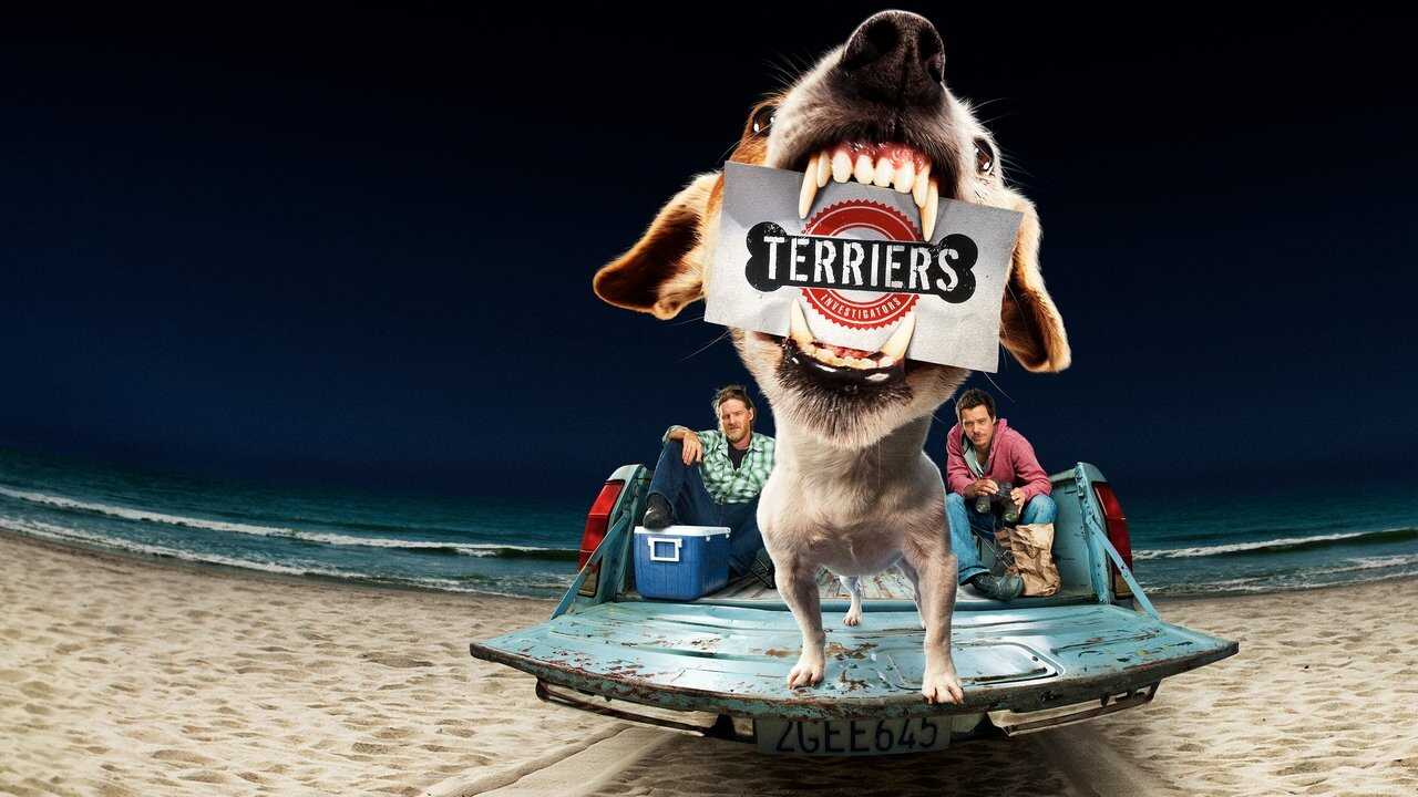 NL - Terriers 1