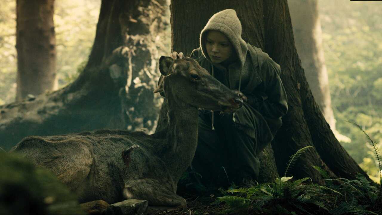 Morgan 0