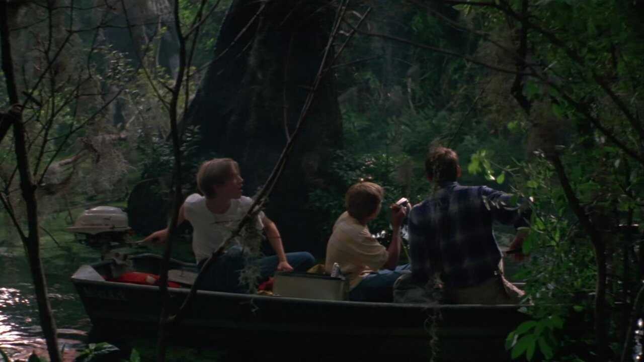 Wild America 0