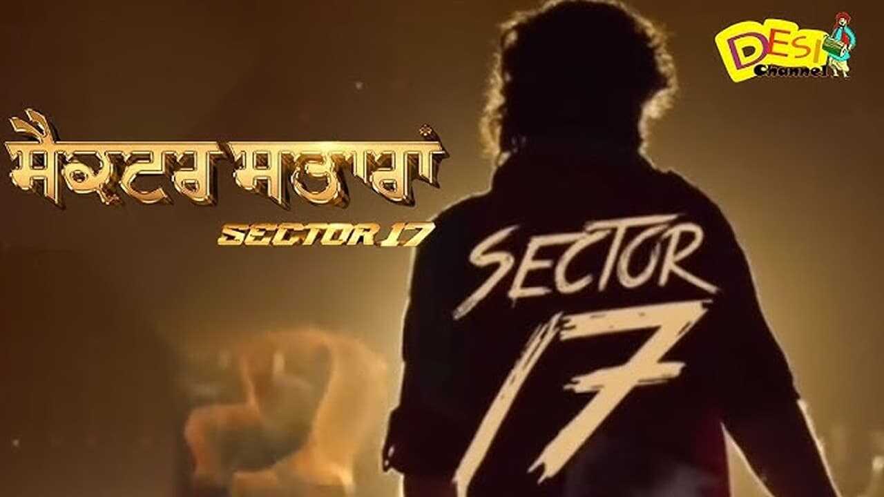 Sector 17 (2024) 0