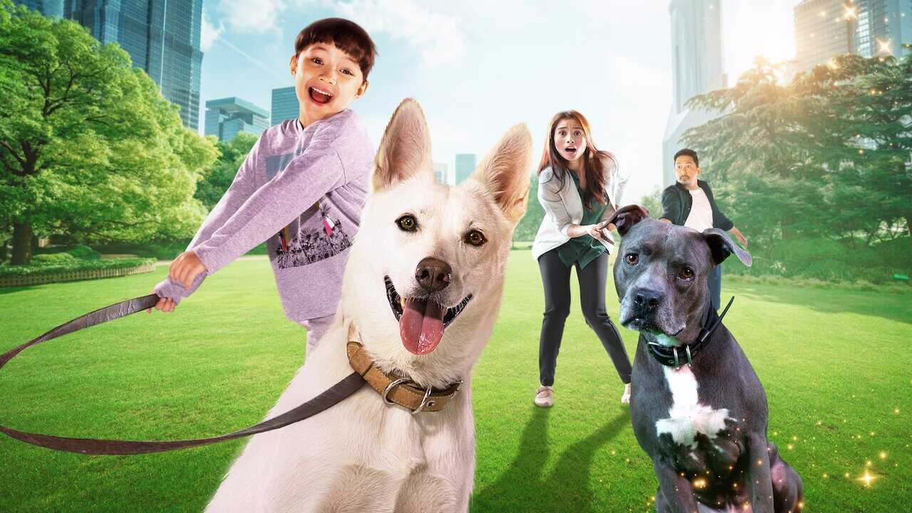 June & Kopi 0
