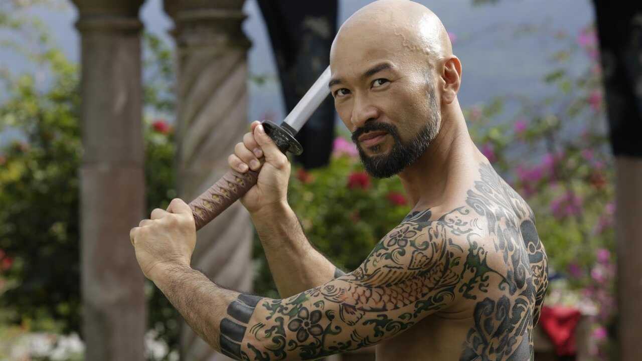 Falcon Rising 0