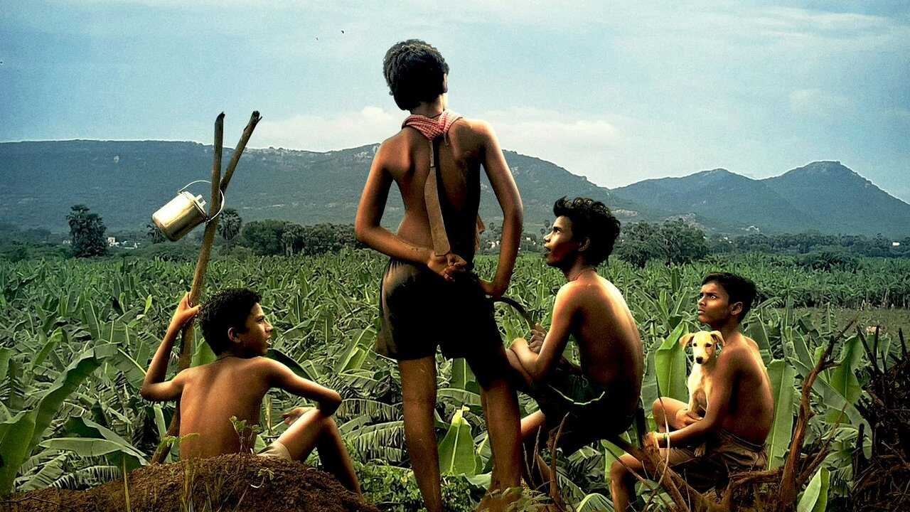 Vaazhai (2024) 0