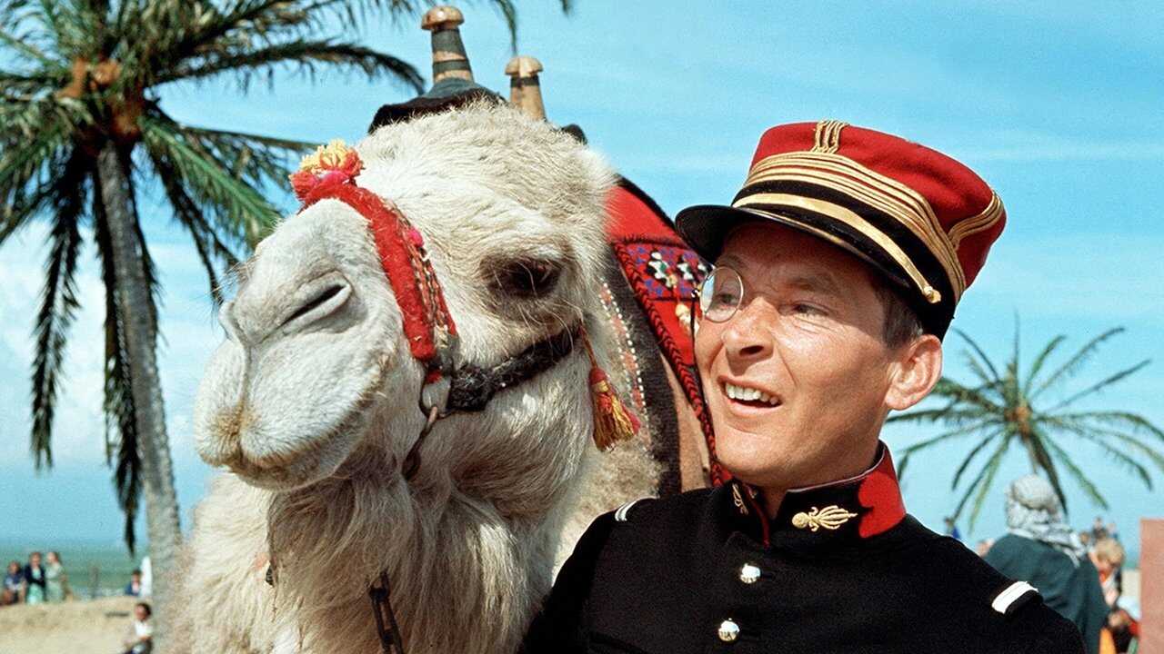 Cała naprzód za tym wielbłądem (1967) 0
